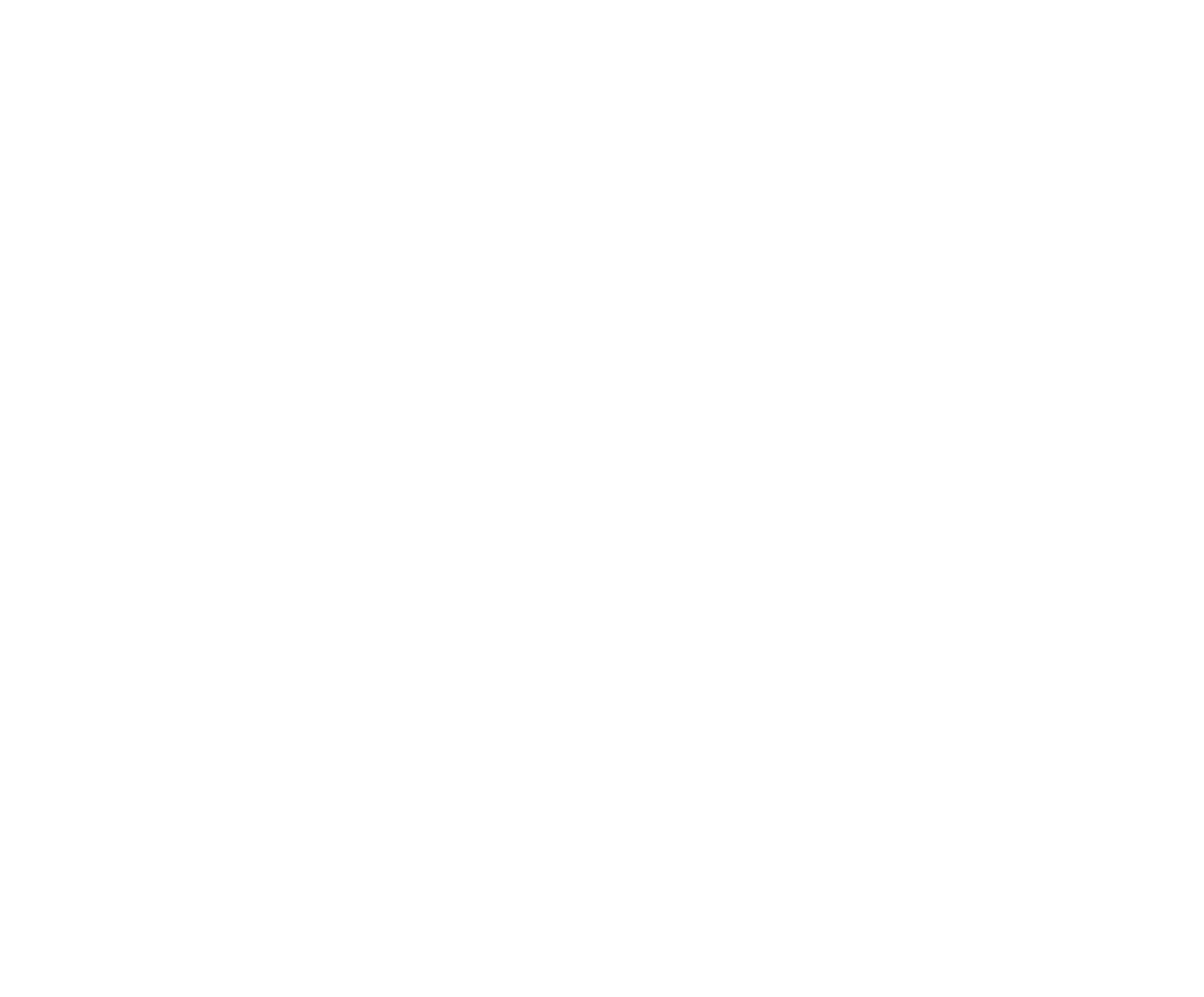 Logo Nithusaan
